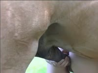 Pony sex under the tree